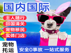 萧山机场托运国际宠物托运 【国